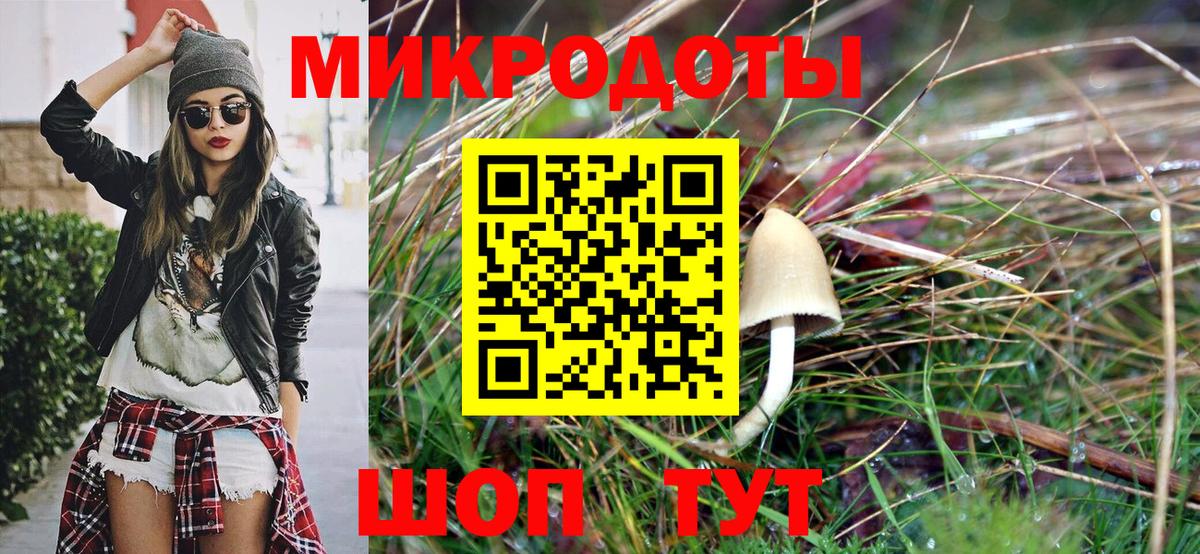Галлюциногенные грибы Psilocybe  Вход с VPN  Щёлково 