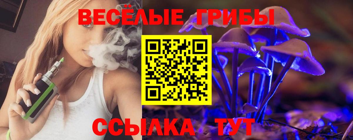 Псилоцибиновые грибы MAGIC MUSHROOMS Щёлково